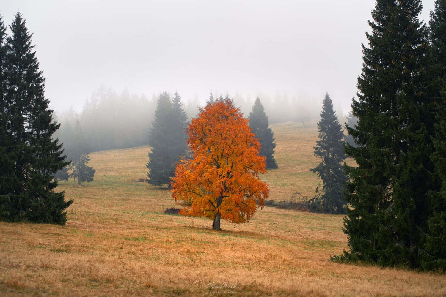 CHKO Poľana