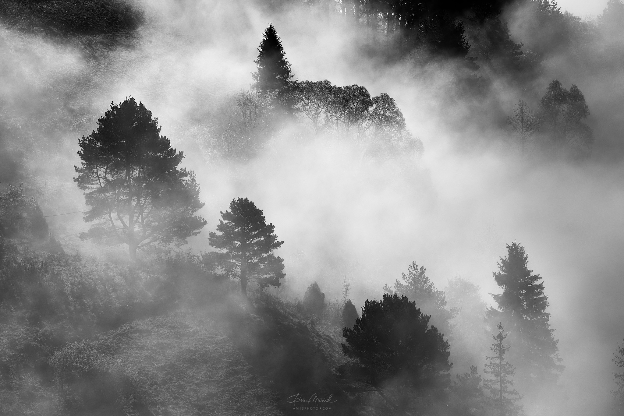 Jesenné hmly v lesoch severného Slovenska